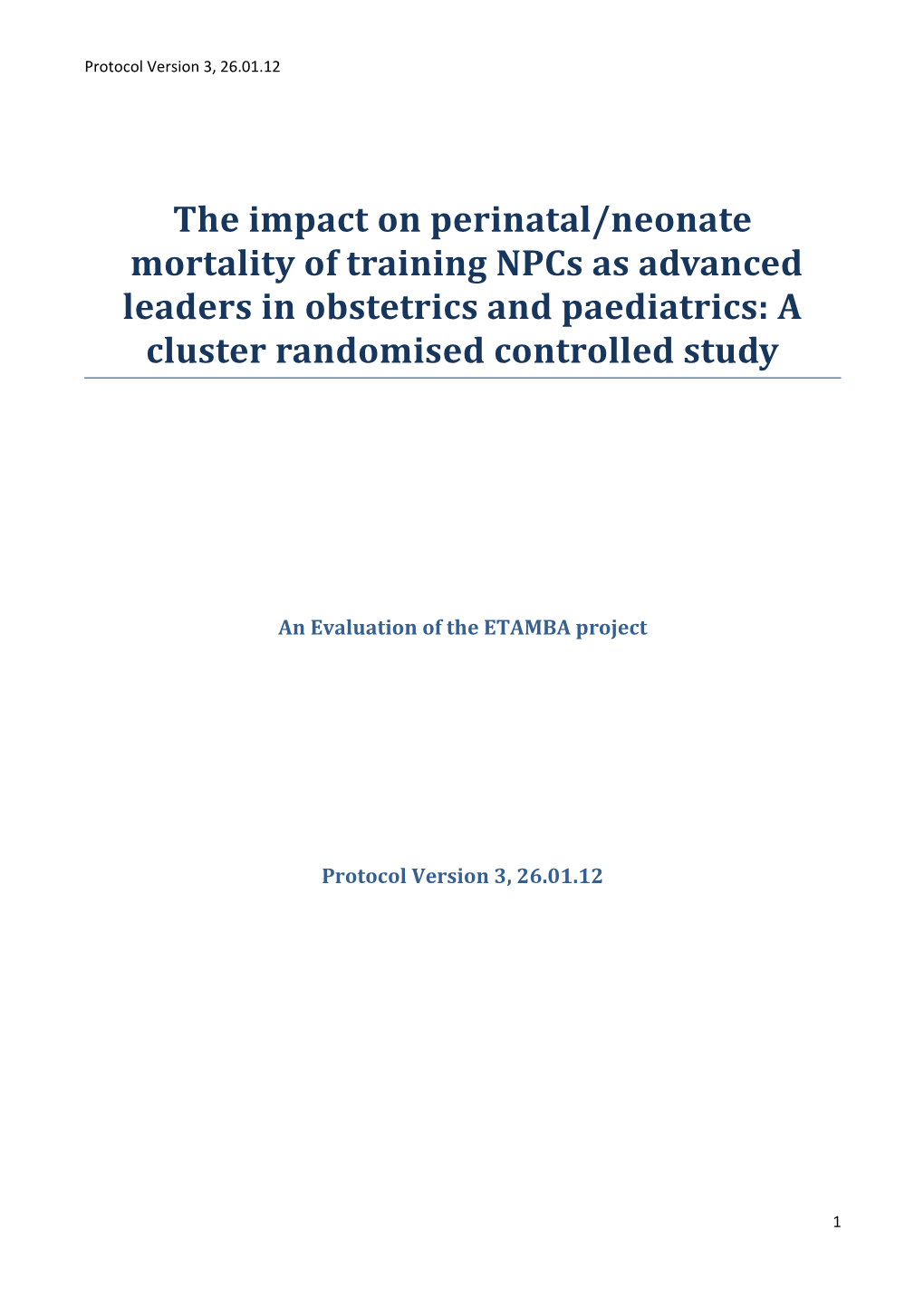 An Evaluation of the ETAMBA Project