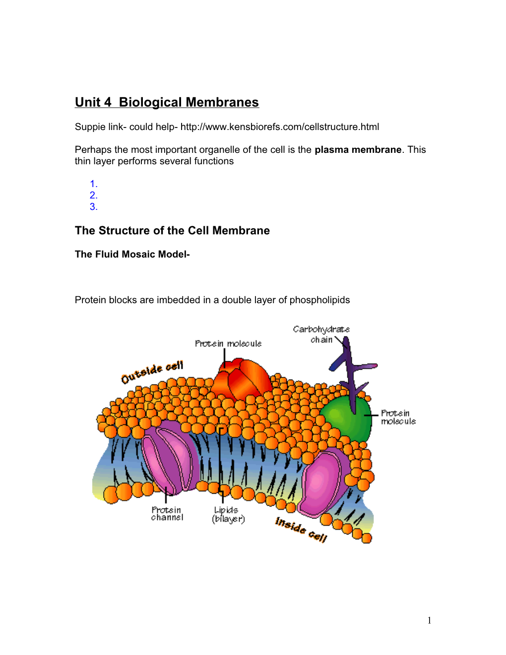 Unit 4 Biological Membranes