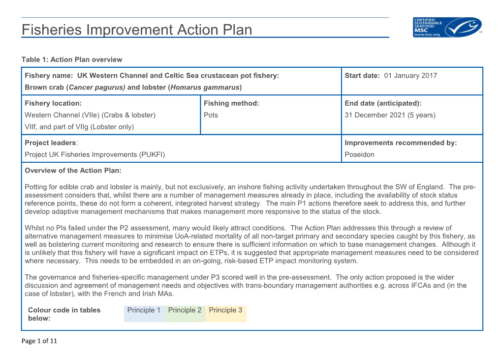 Table 1: Action Plan Overview