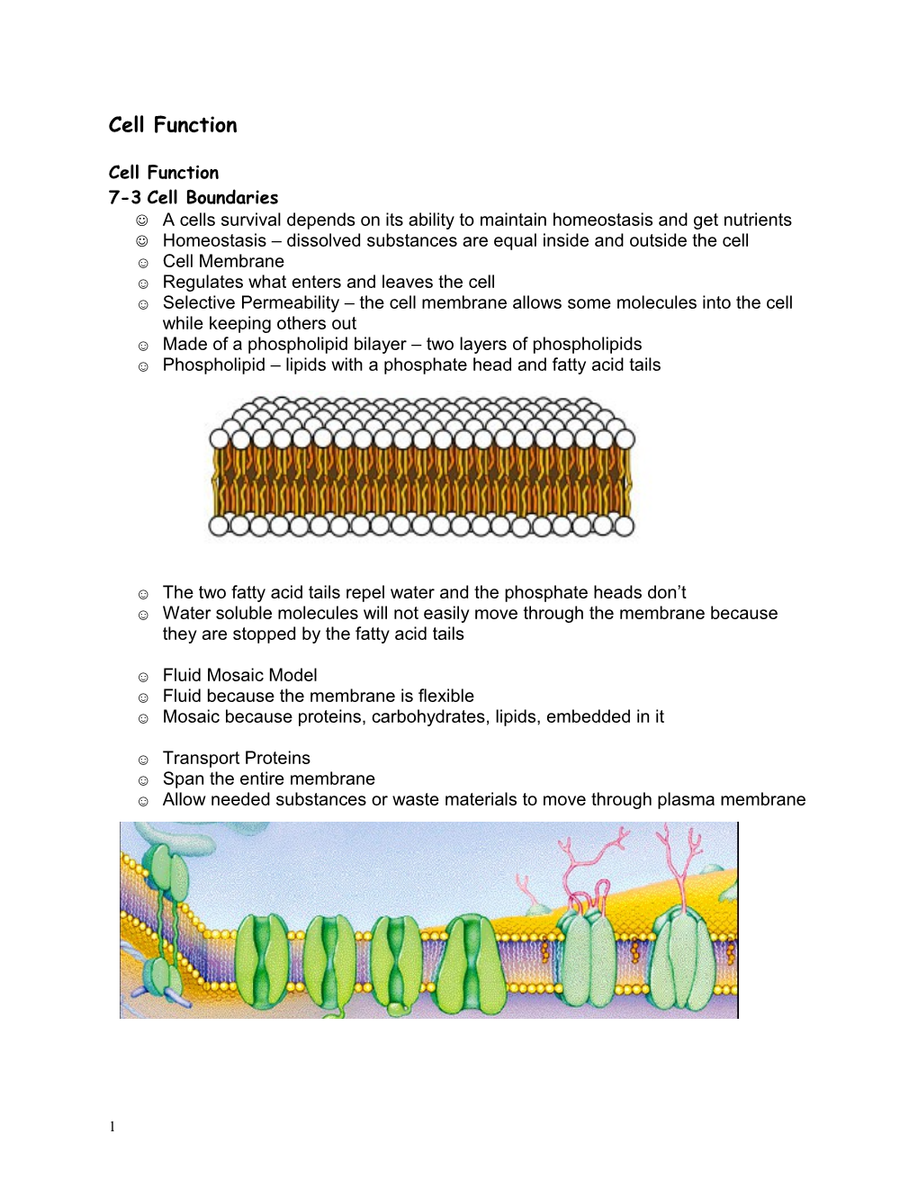 The Cell As a Unit of Structure and Function