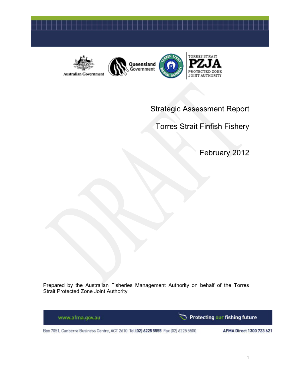 Strategic Assessment Report