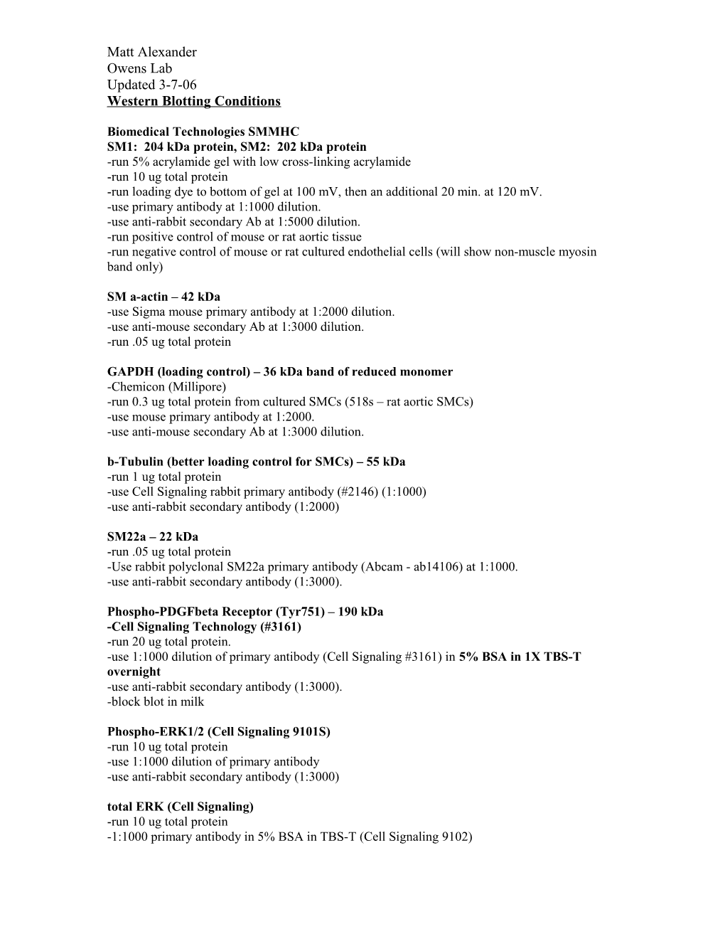 Western Blotting Conditions