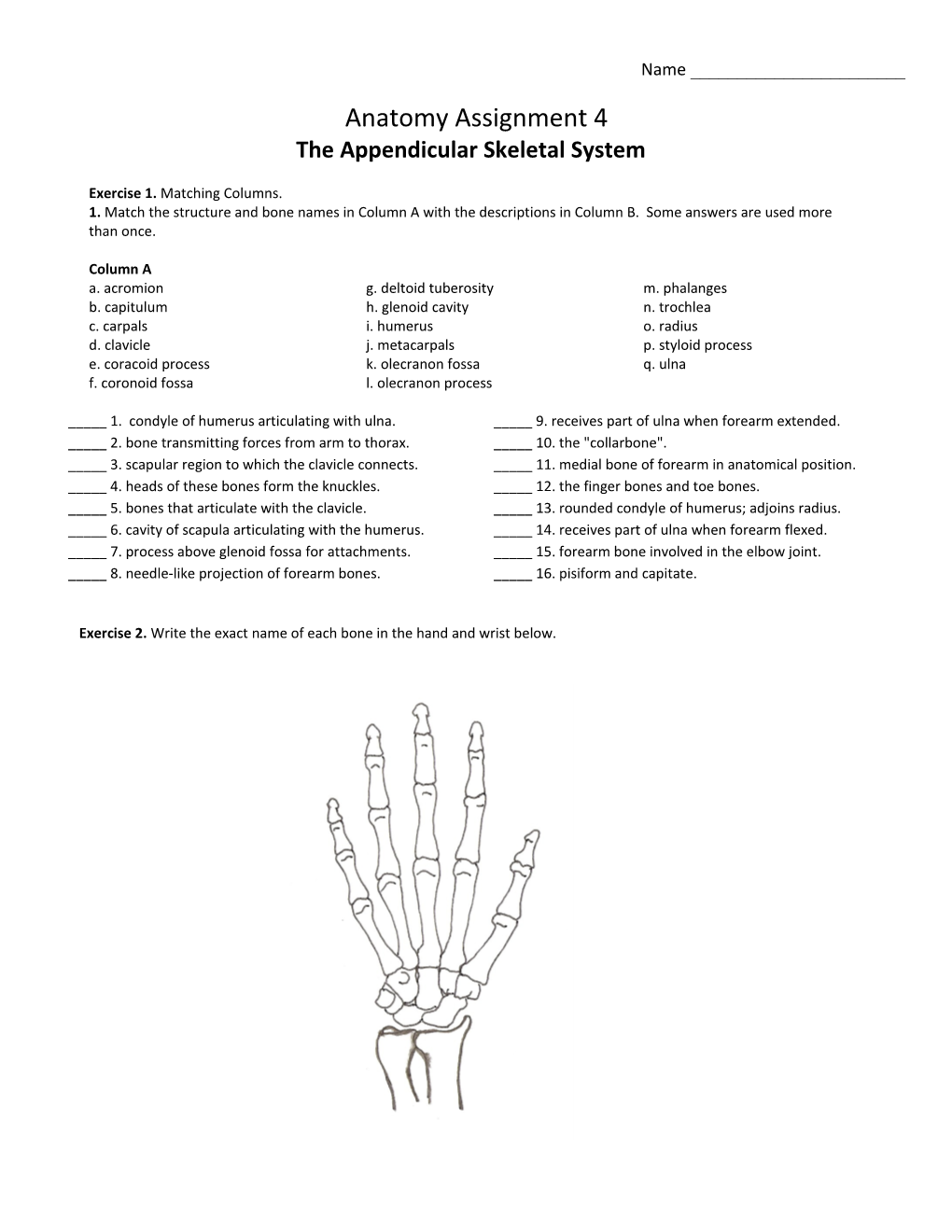 The Appendicular Skeletal System