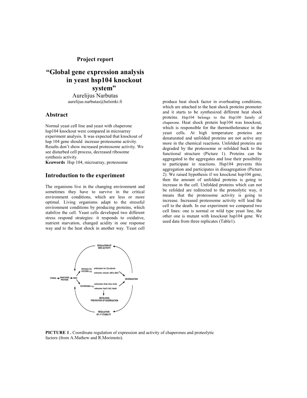 Global Gene Expression Analysis in Yeast Hsp104 Knockout System