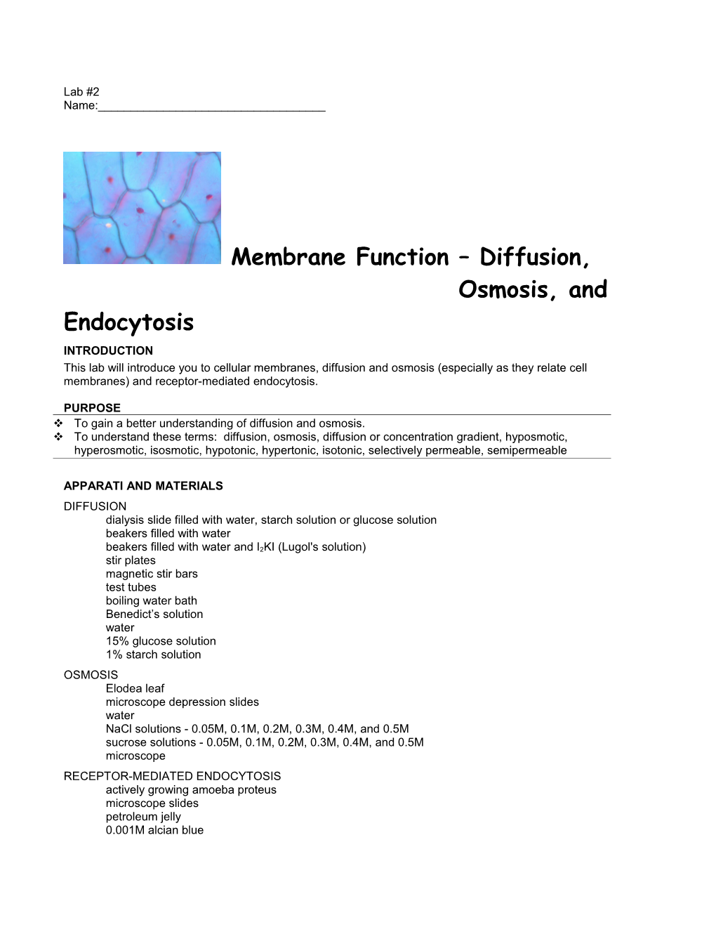 To Gain a Better Understanding of Diffusion and Osmosis