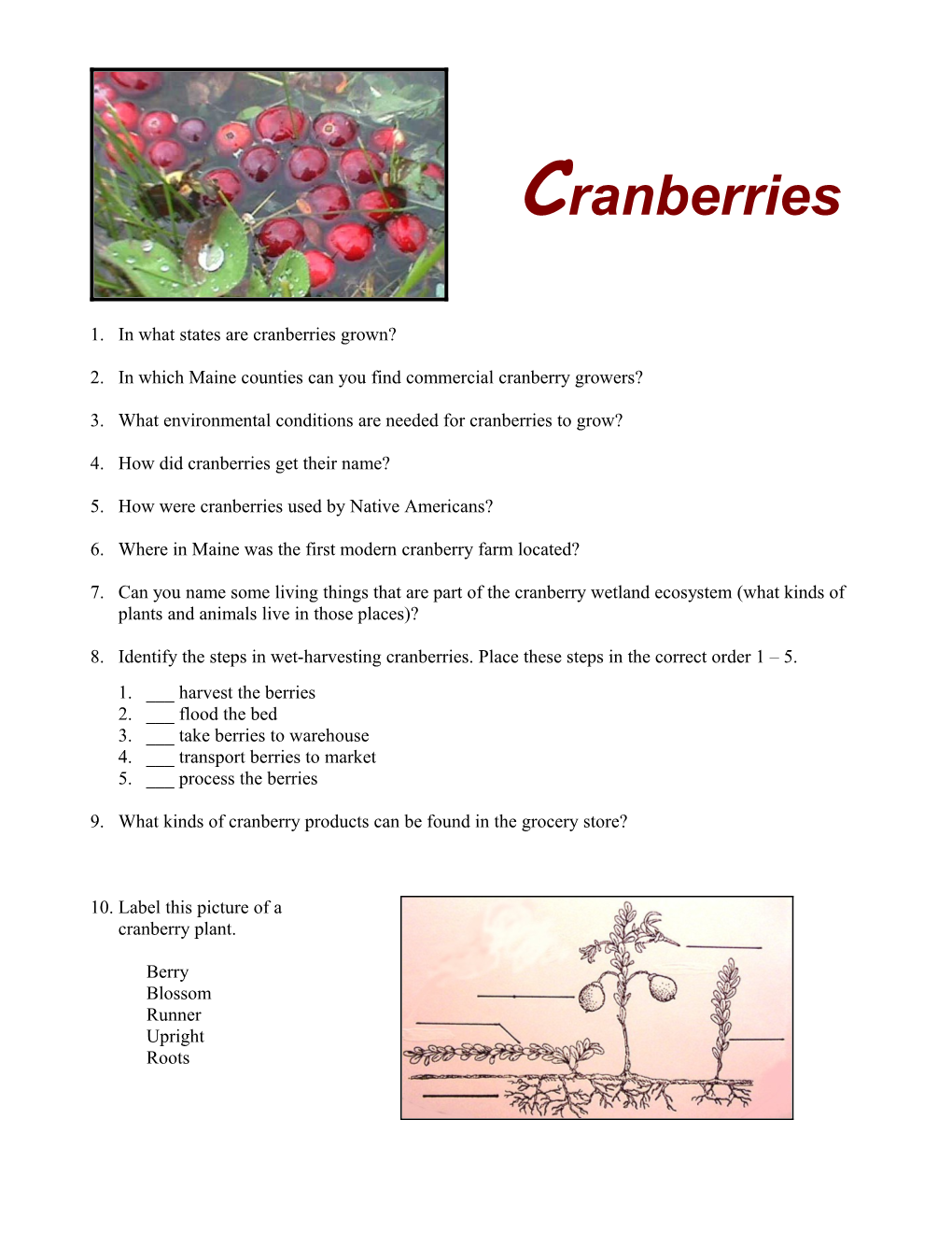 In What States Are Cranberries Grown?