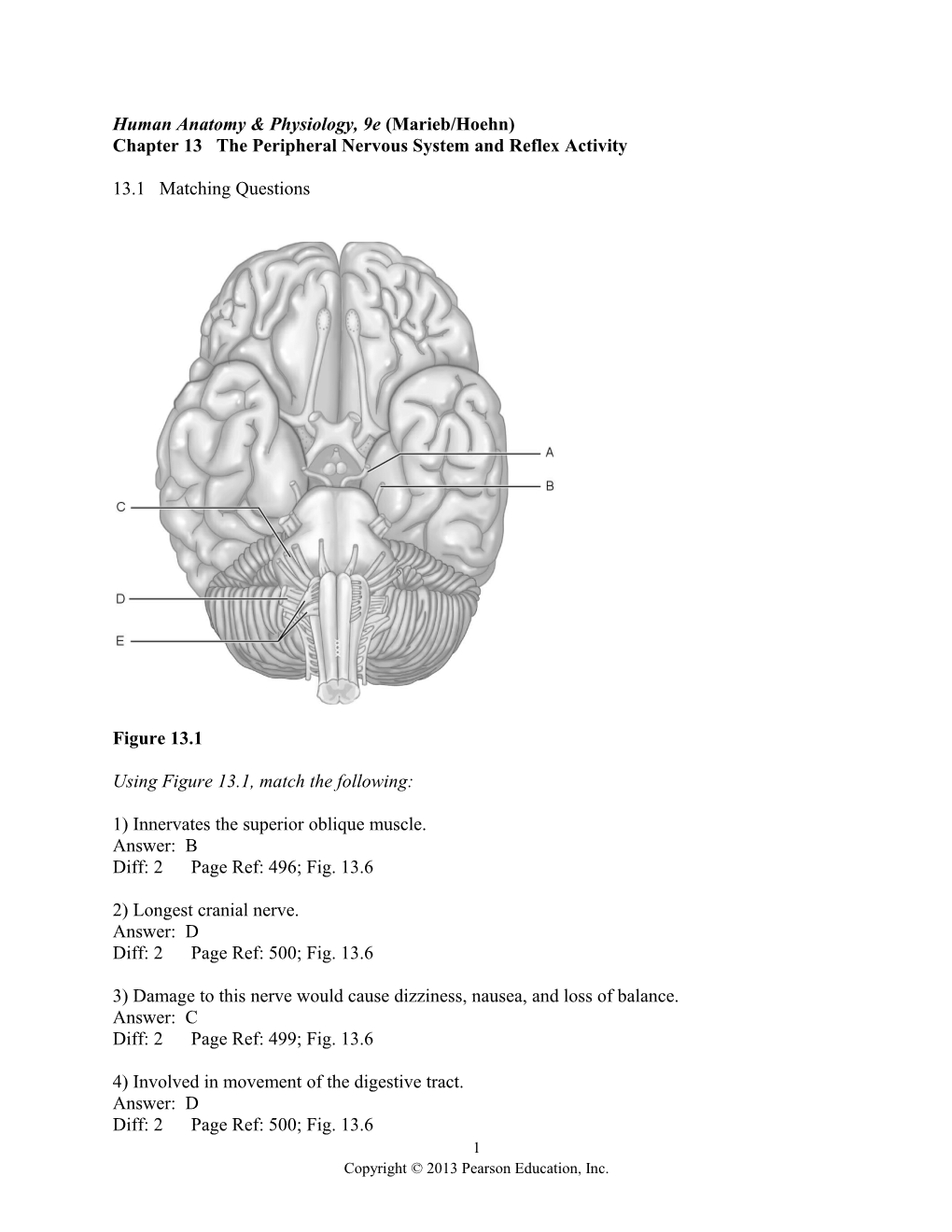 Chapter 13 the Peripheral Nervous System and Reflex Activity