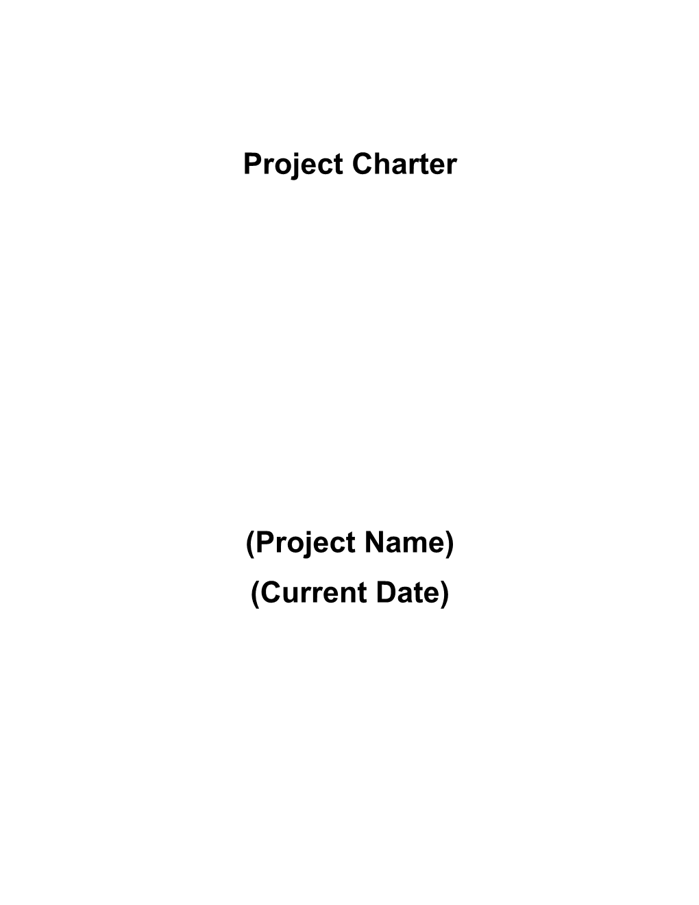 Project Charter - Large Projects