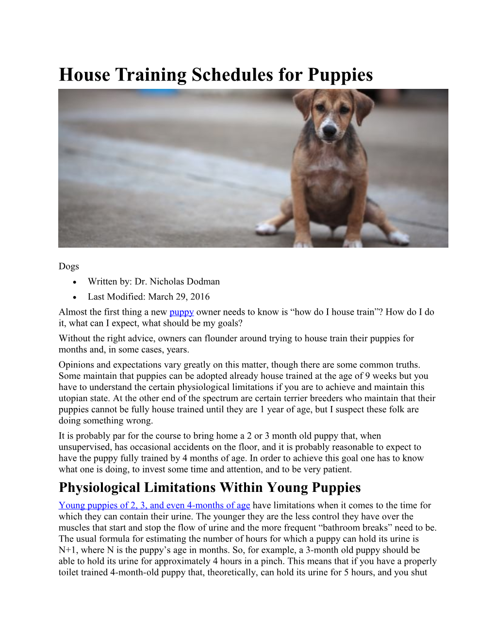 House Training Schedules for Puppies