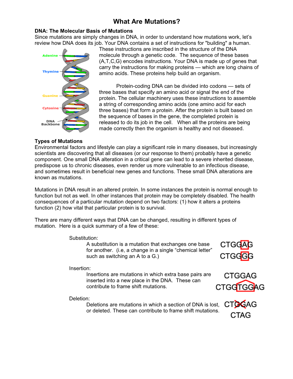 DNA: the Molecular Basis of Mutations