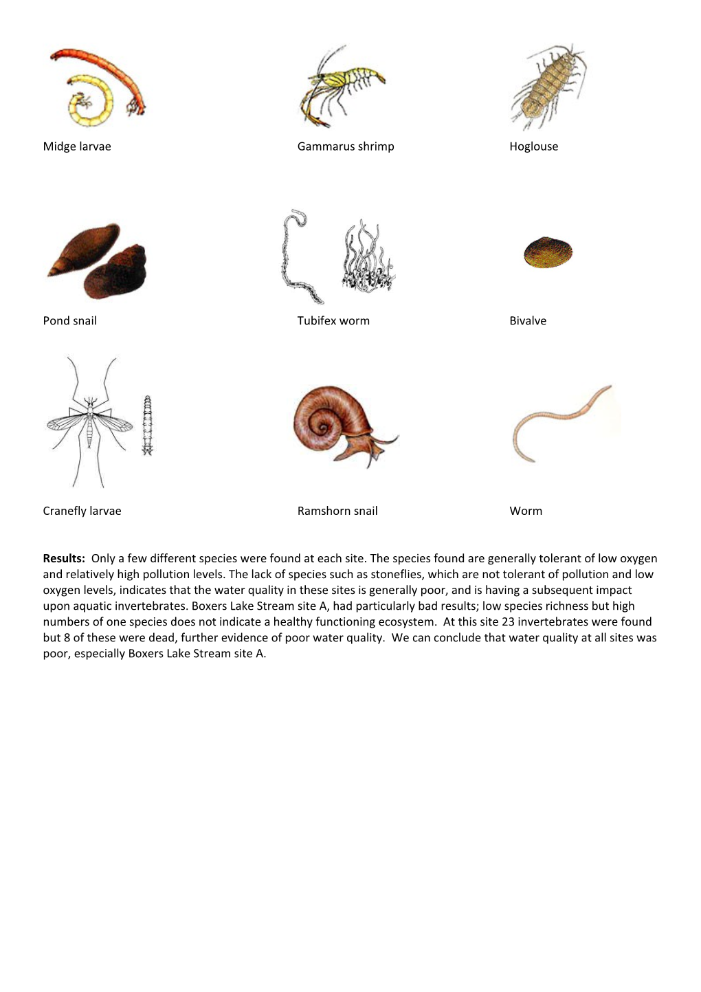 Aquatic Invertebrate Survey Results
