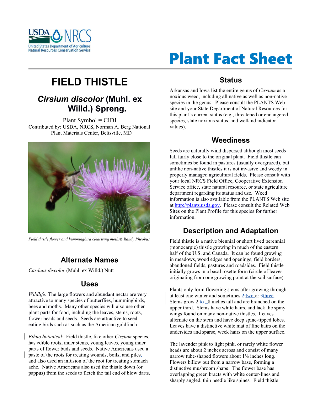 Field Thistle (Cirsium Discolor), Plant Fact Sheet