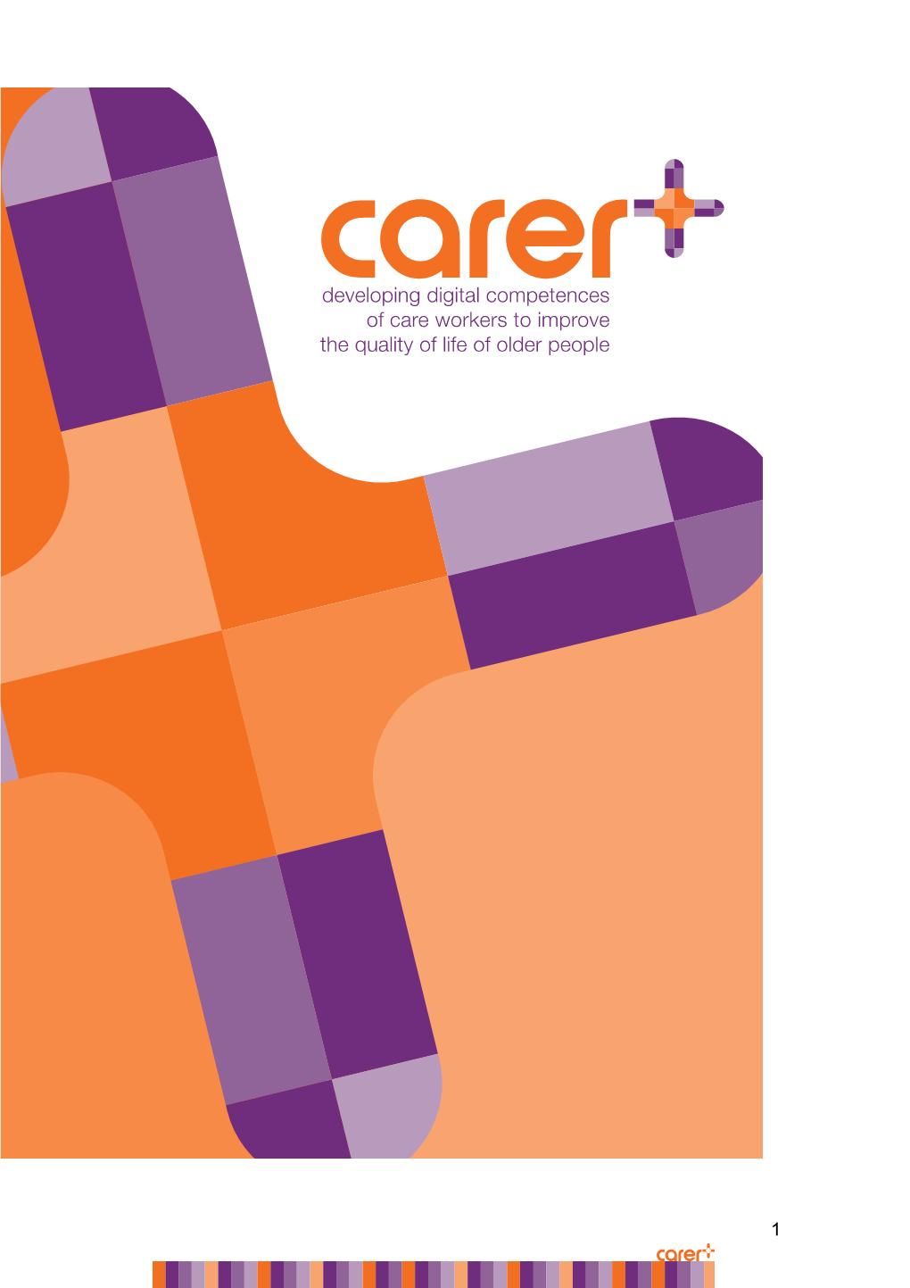 D5.6 Delivery of the Training Programme for Care Workers and Caregivers