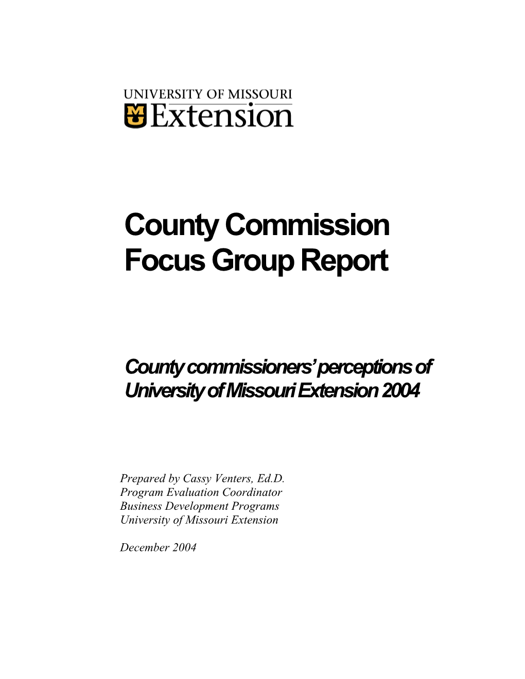 County Commission Focus Group Report