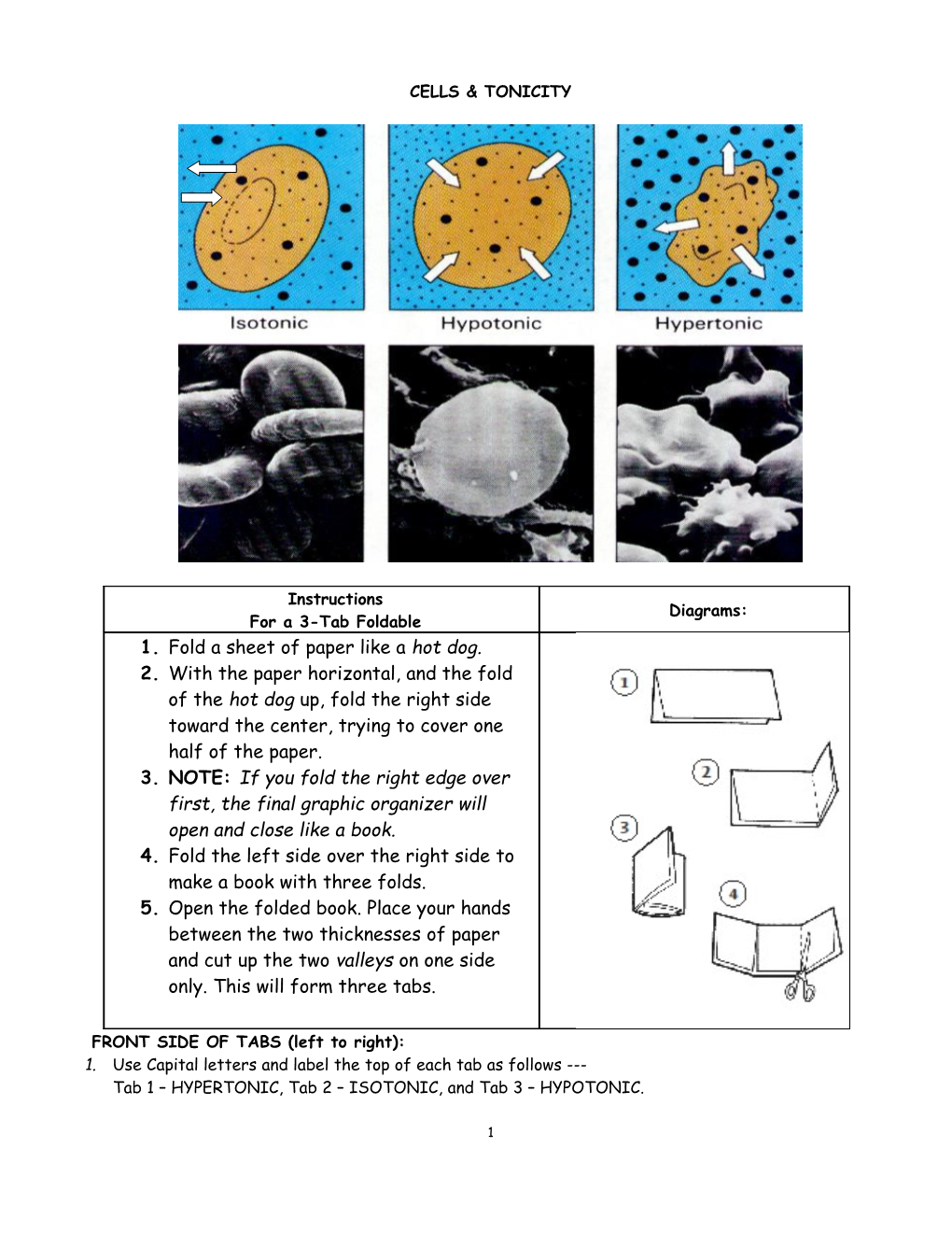 Cells & Tonicity