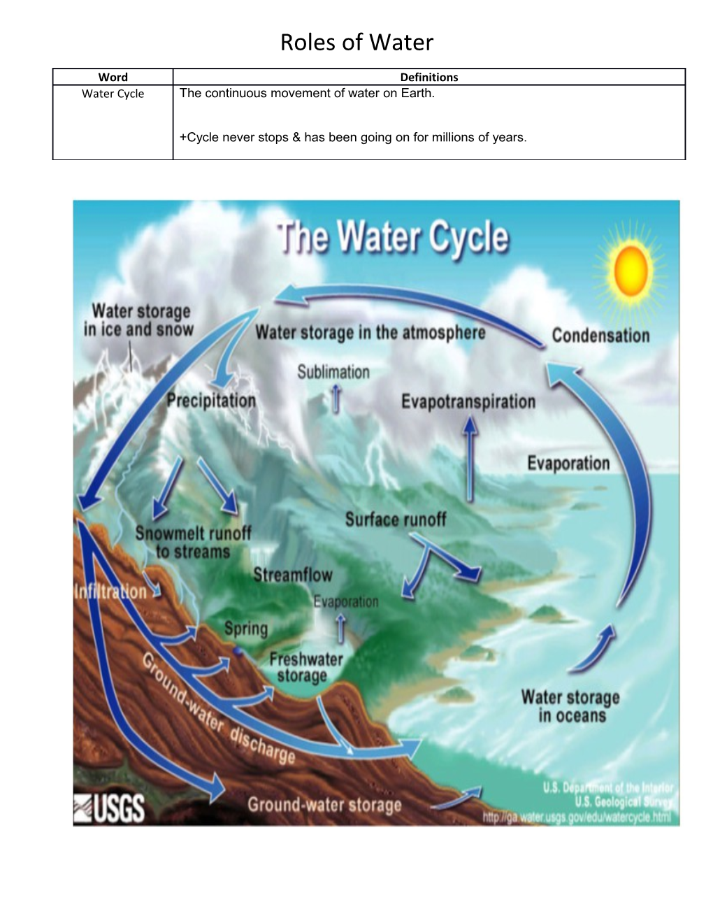 Roles of Water
