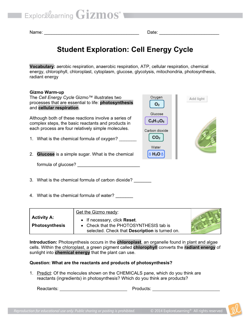 Cell Energy Cycle