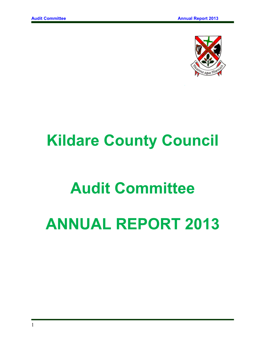 Audit Committeeannual Report 2013