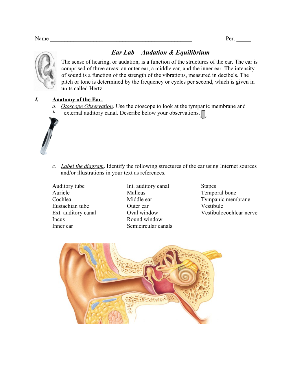 Ear Lab Audation & Equilibrium