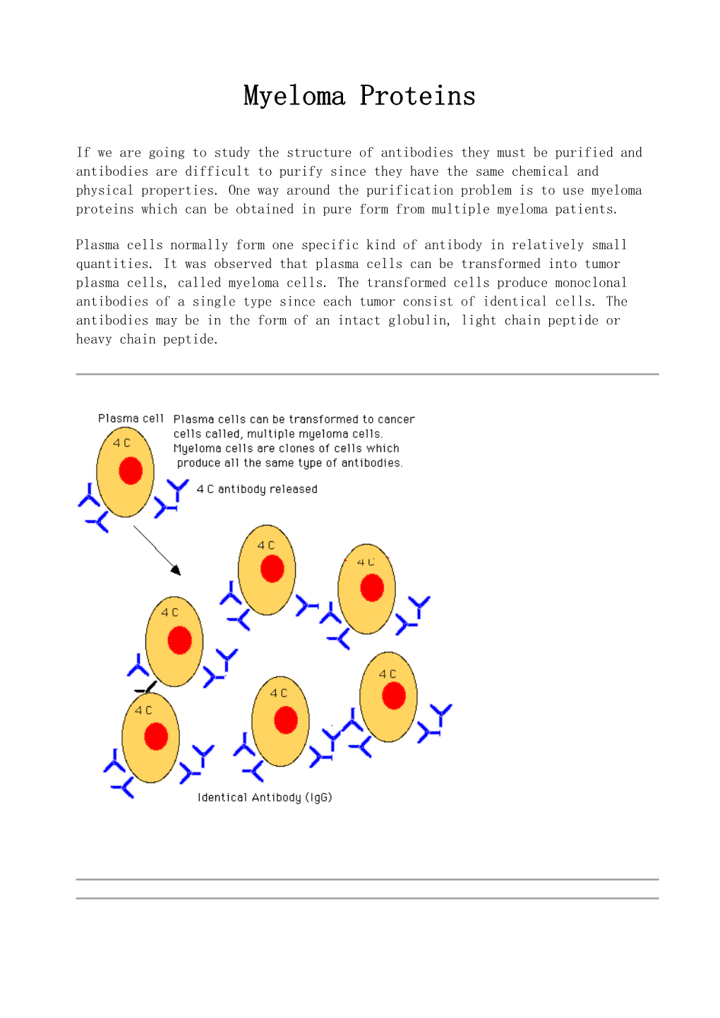 Myeloma Proteins