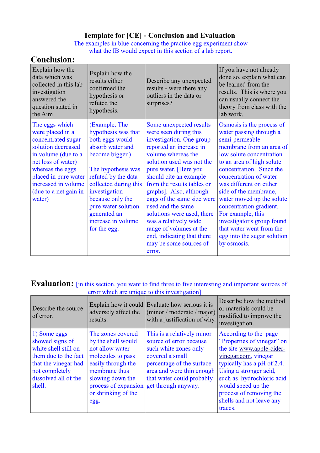 Template for CE - Conclusion and Evaluation