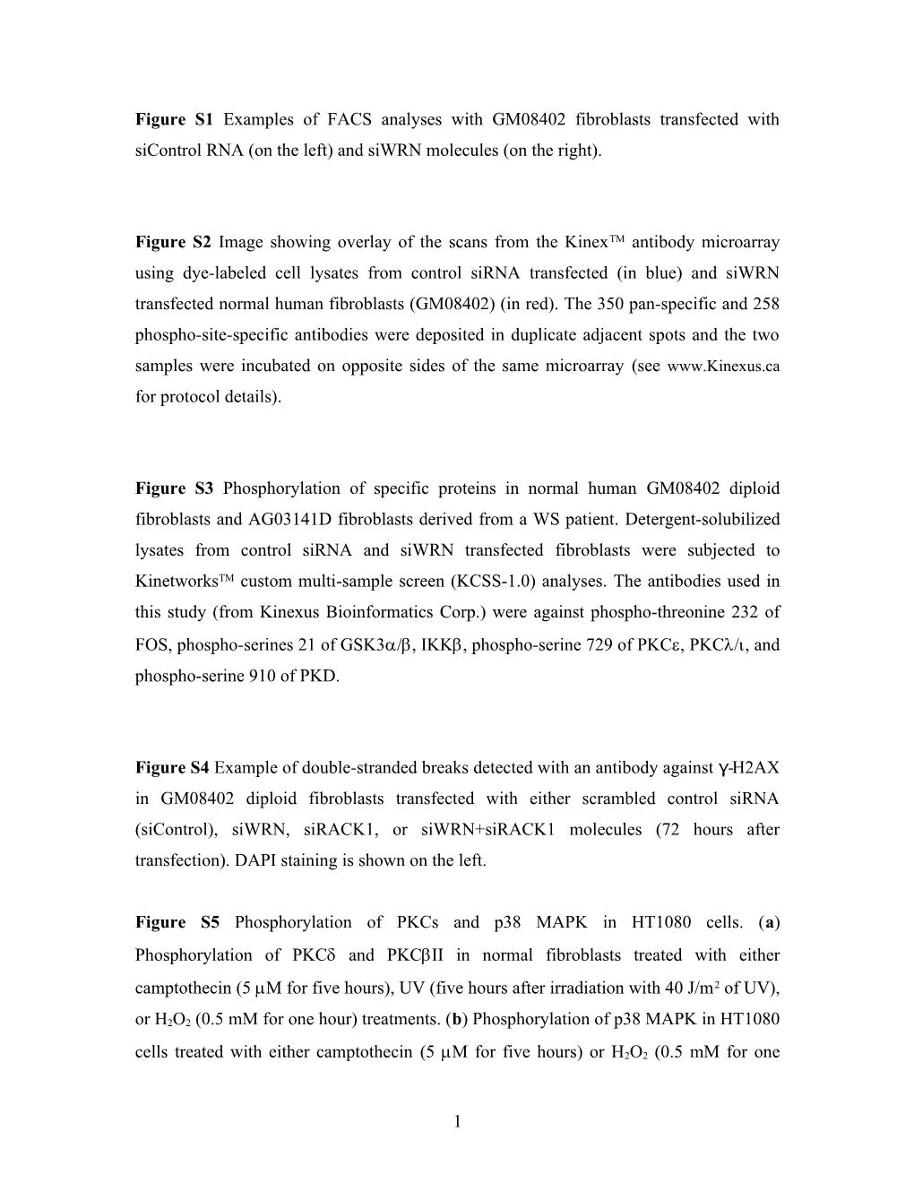 Physical and Functional Interaction of RACK1 and WRN in Genome Maintenance and Senescence