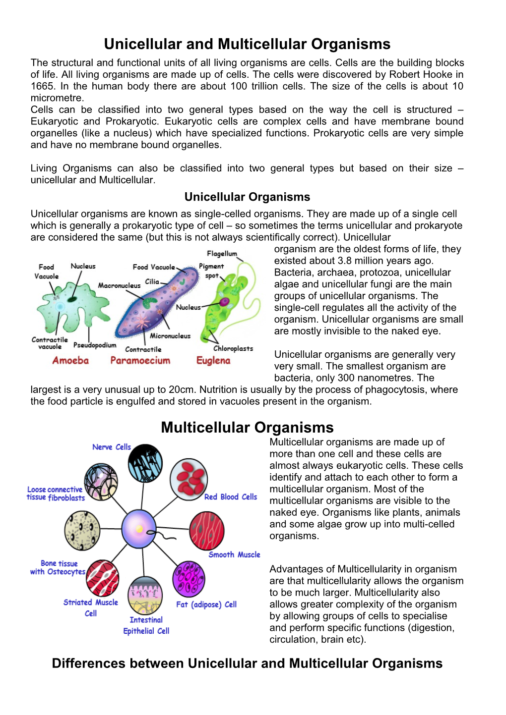 Unicellular and Multicellular Organisms