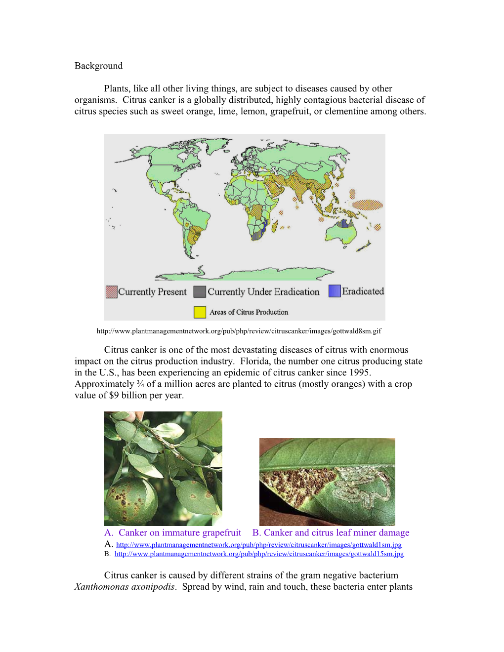 A. Canker on Immature Grapefruitb. Canker and Citrus Leaf Miner Damage