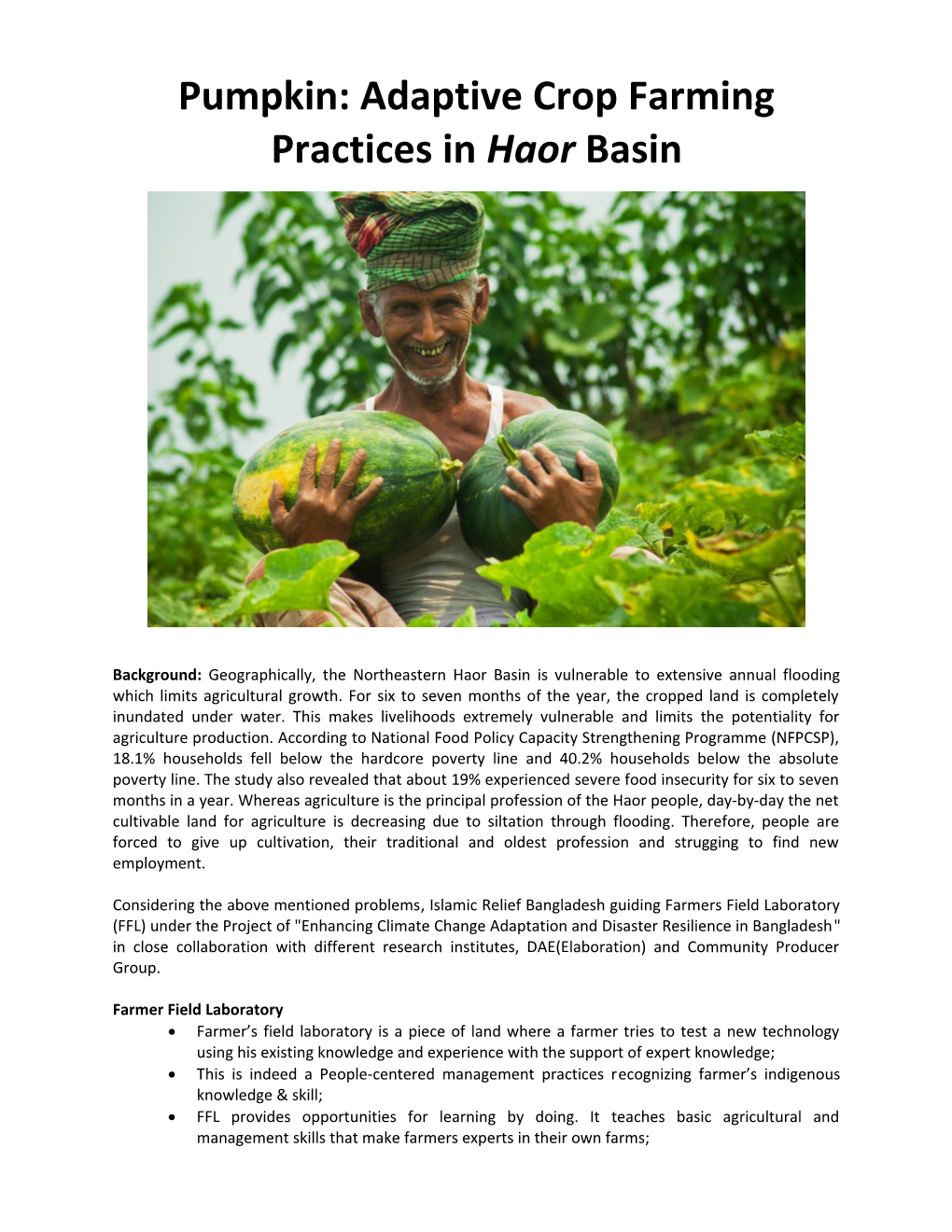 Pumpkin: Adaptive Crop Farming Practices in Haor Basin