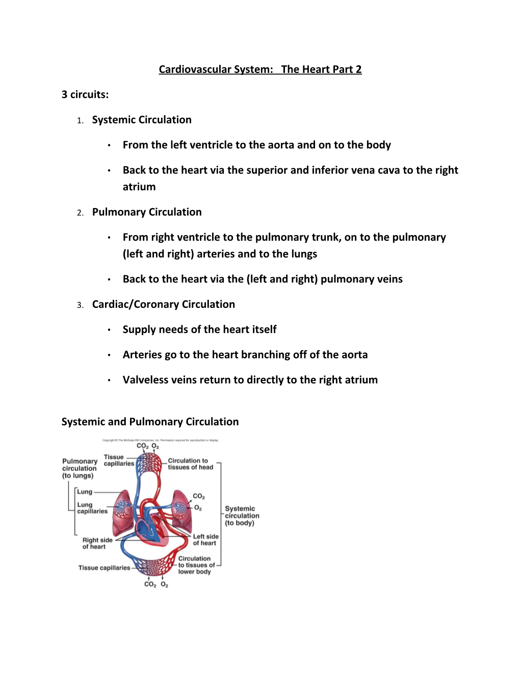 Cardiovascular System: the Heart Part 2