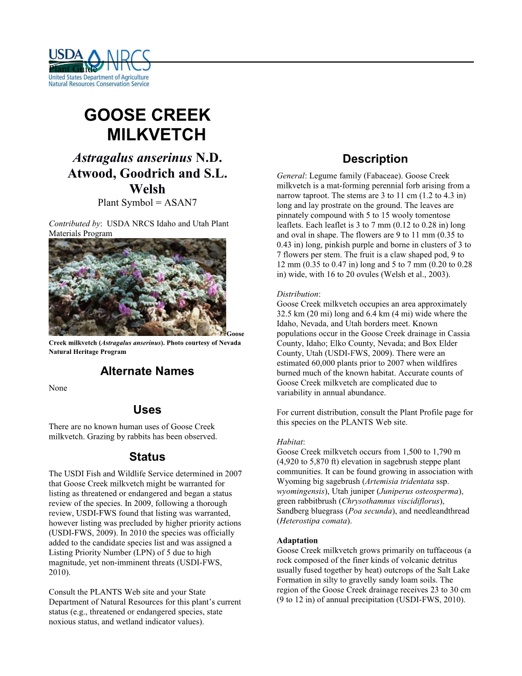 Plant Guide for Goose Creek Milkvetch (Astragalus Anserinus)