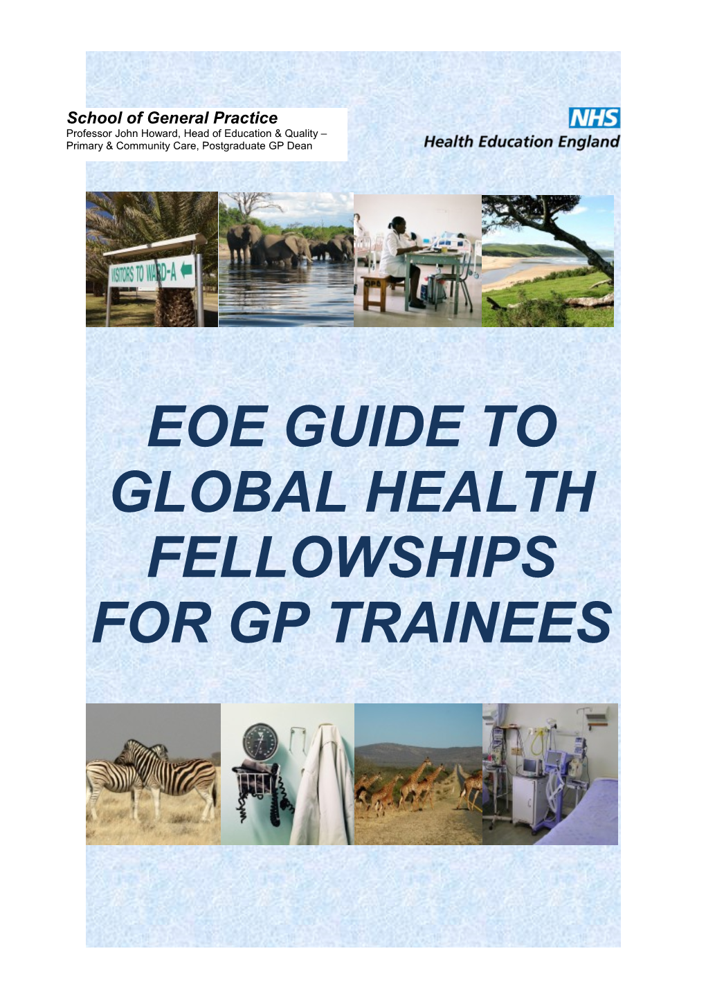 Eoe Guidetoglobal Health Fellowshipsfor Gp Trainees