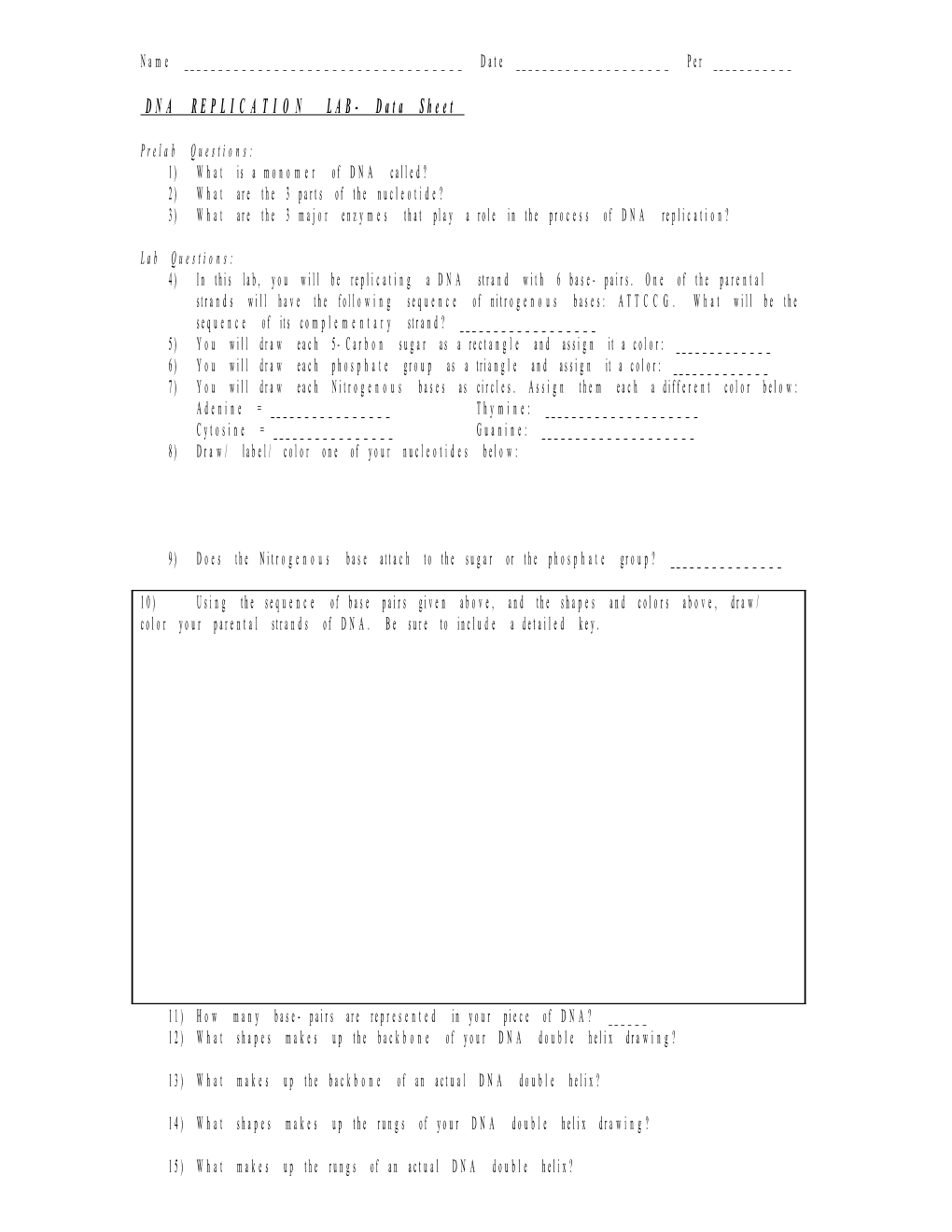 DNA REPLICATION LAB- Data Sheet