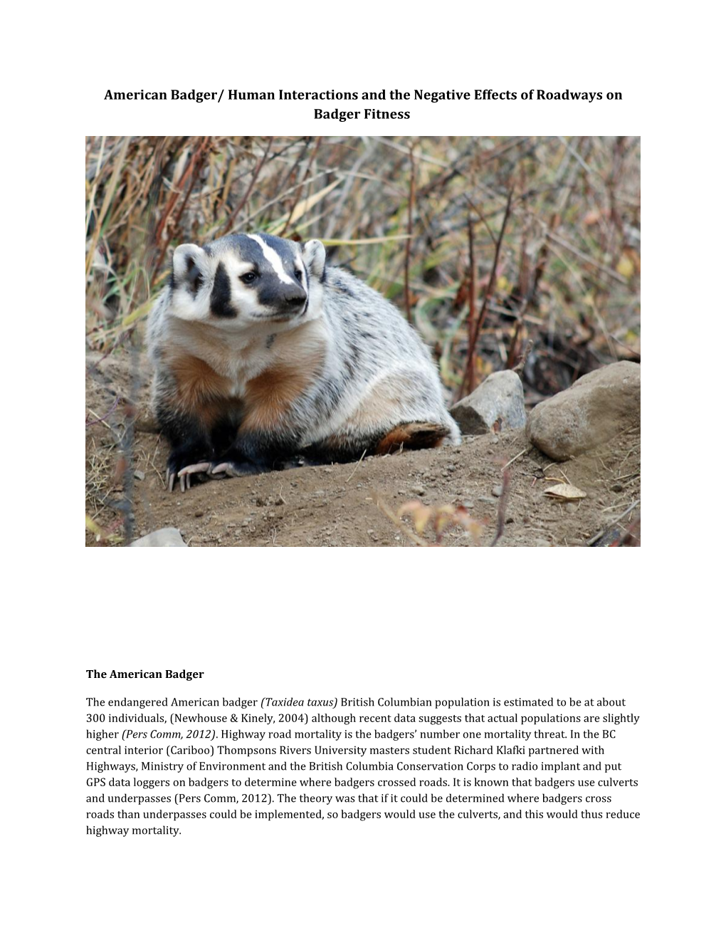 American Badger/ Human Interactionsand the Negative Effects of Roadways on Badger Fitness