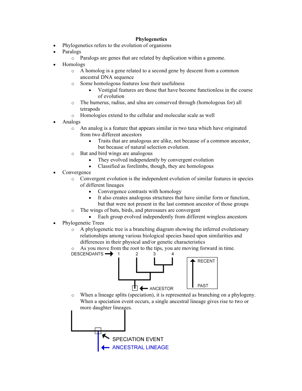 Phylogenetics Refers to the Evolution of Organisms