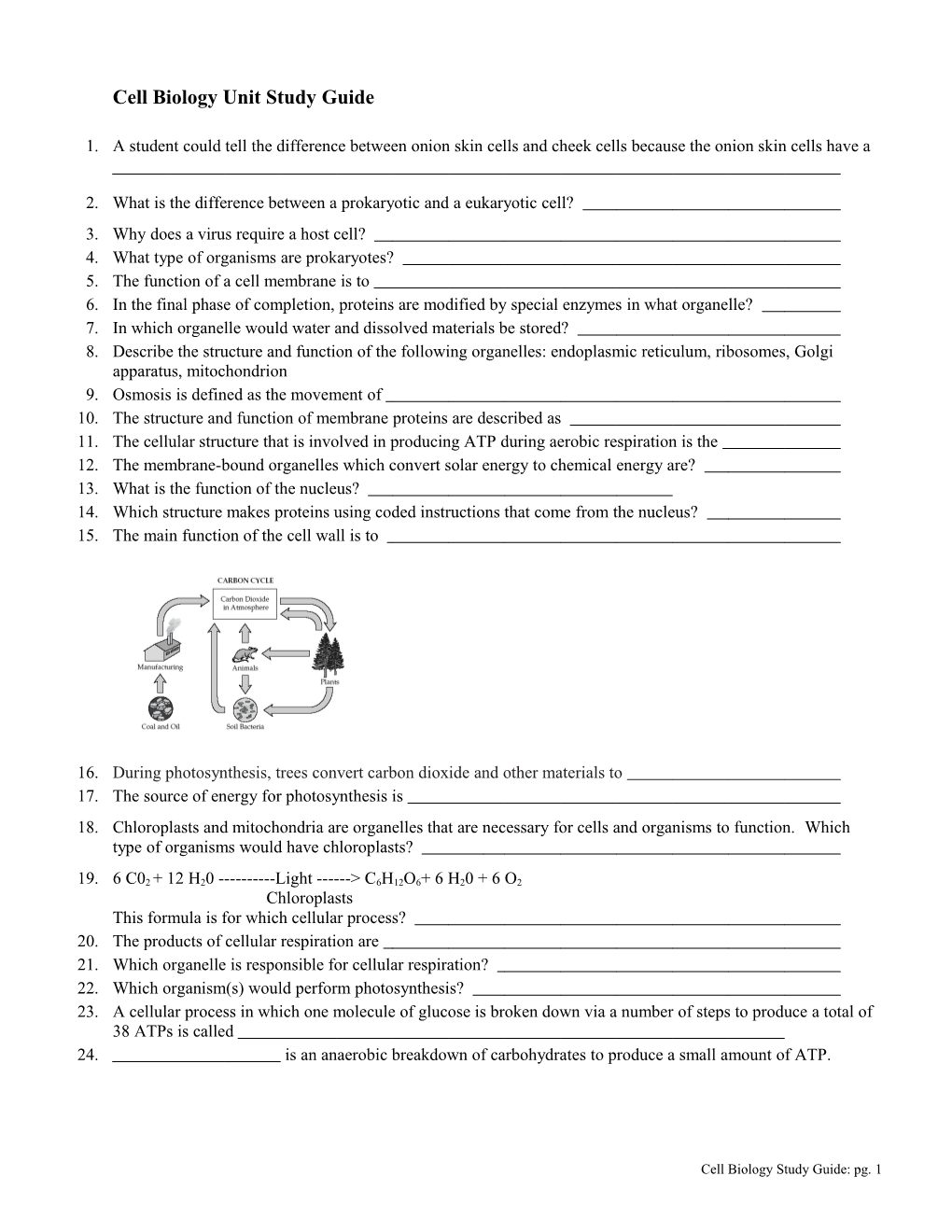 Cell Biology Unit Study Guide