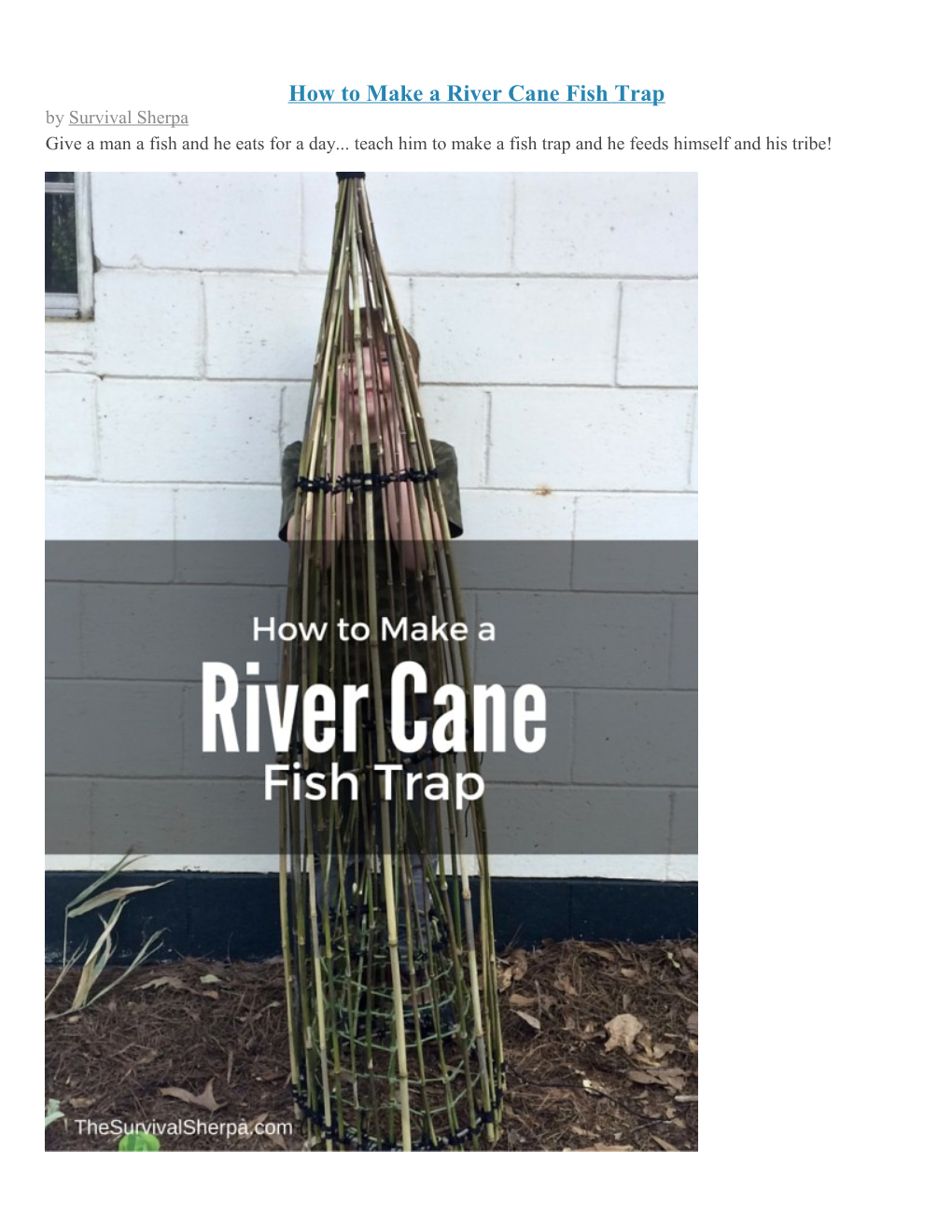 Building a River Cane Fish Trap