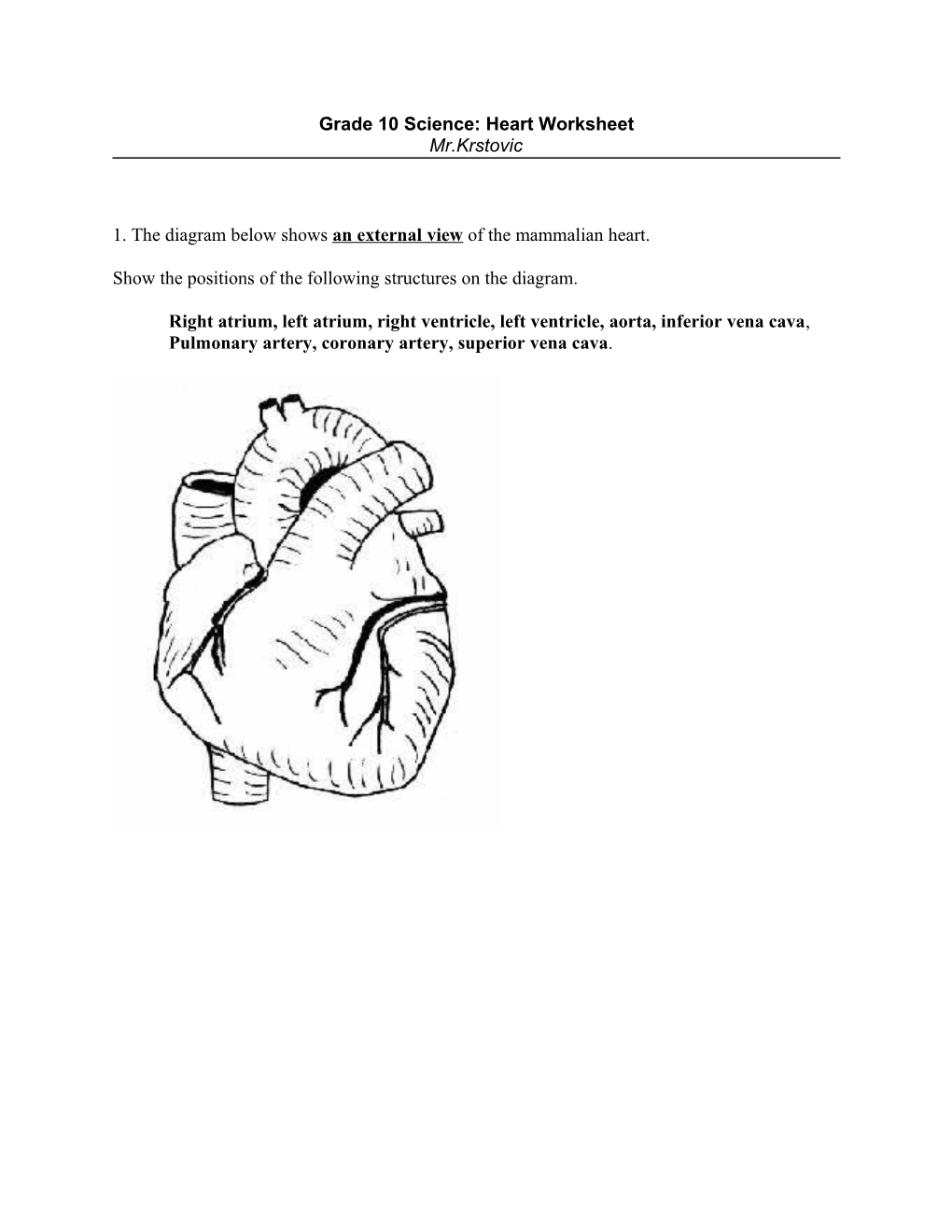 Grade 10 Science: Heart Worksheet