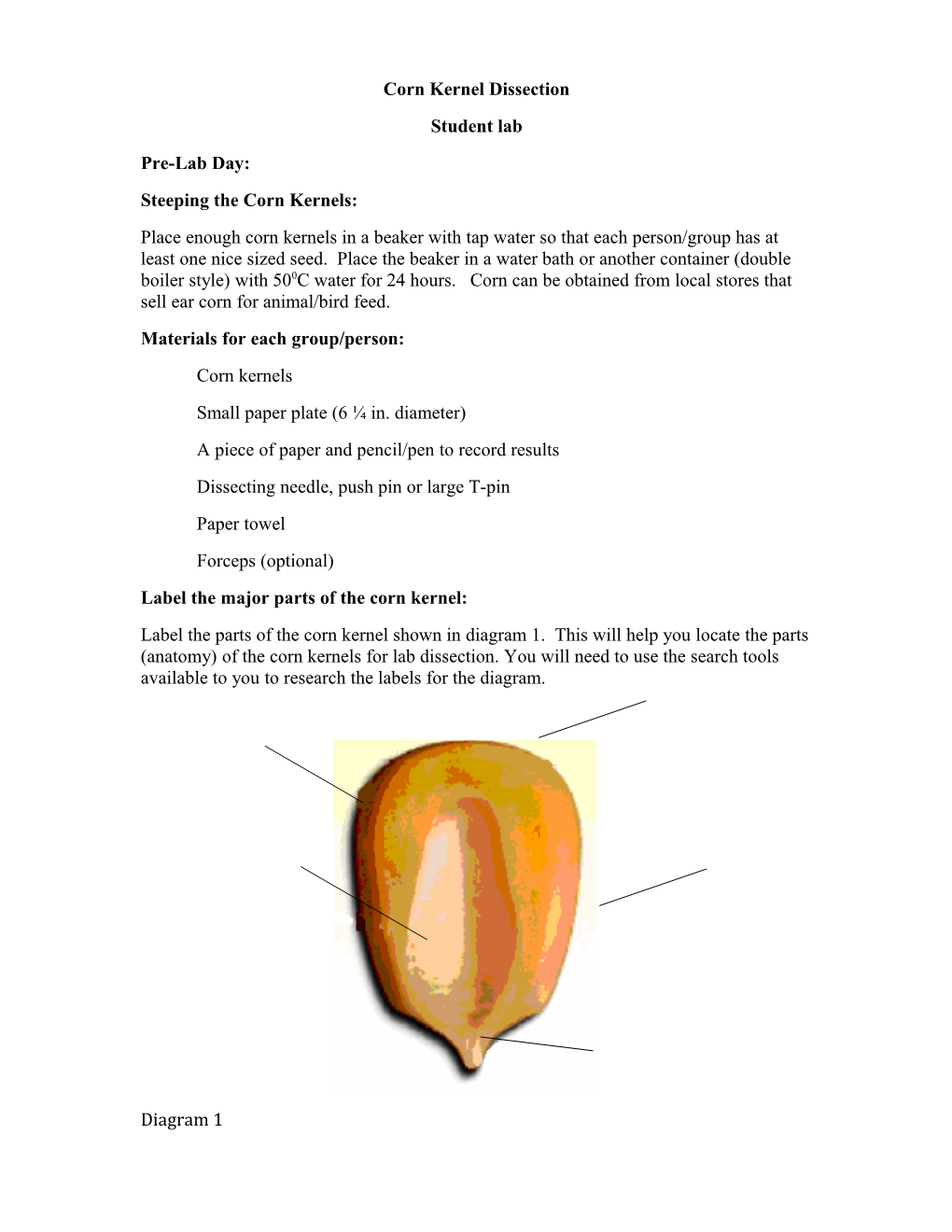 Corn Kernel Dissection