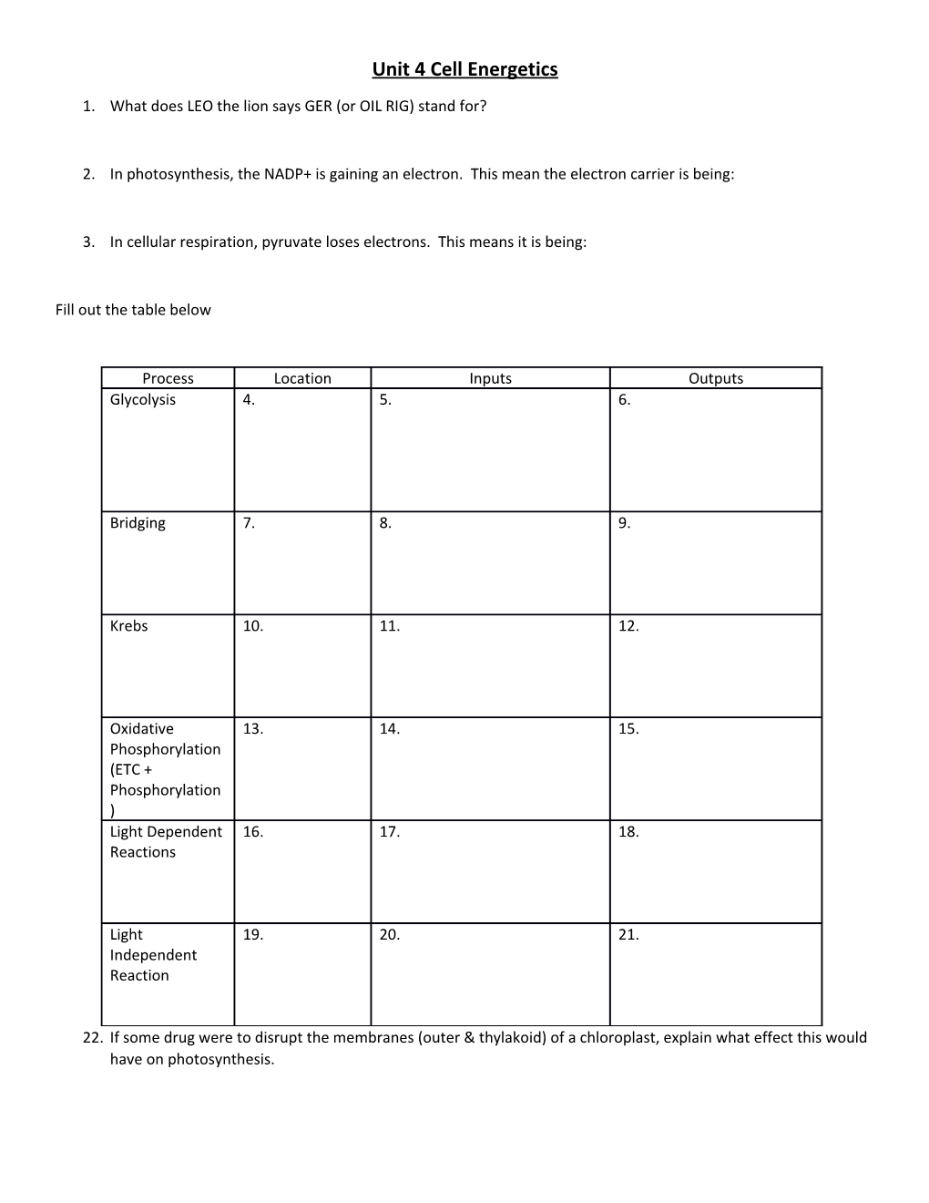 Unit 4 Cell Energetics