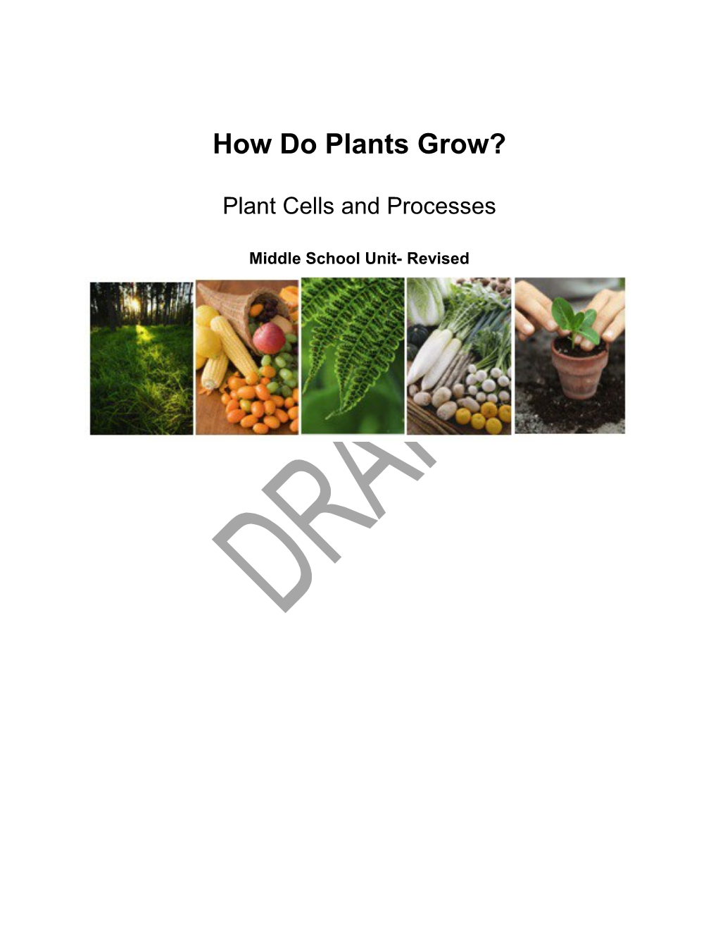 Activity 1: Do Plants Need Food and Air to Grow?