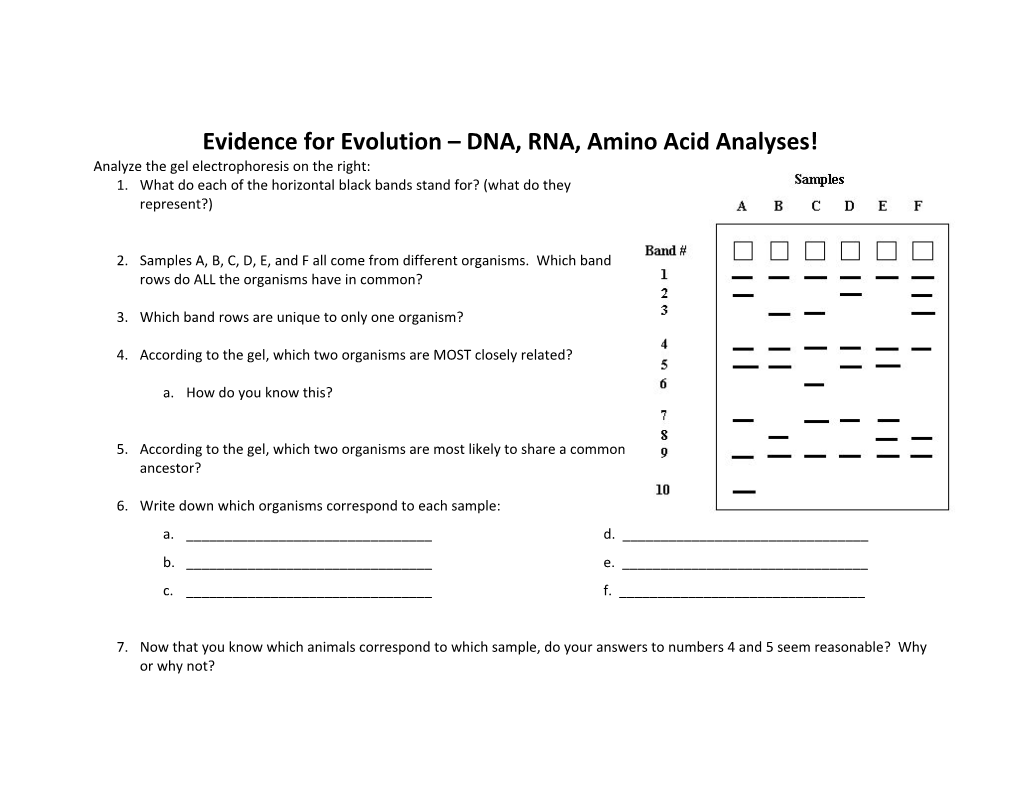 Evidence for Evolution DNA, RNA, Amino Acid Analyses!