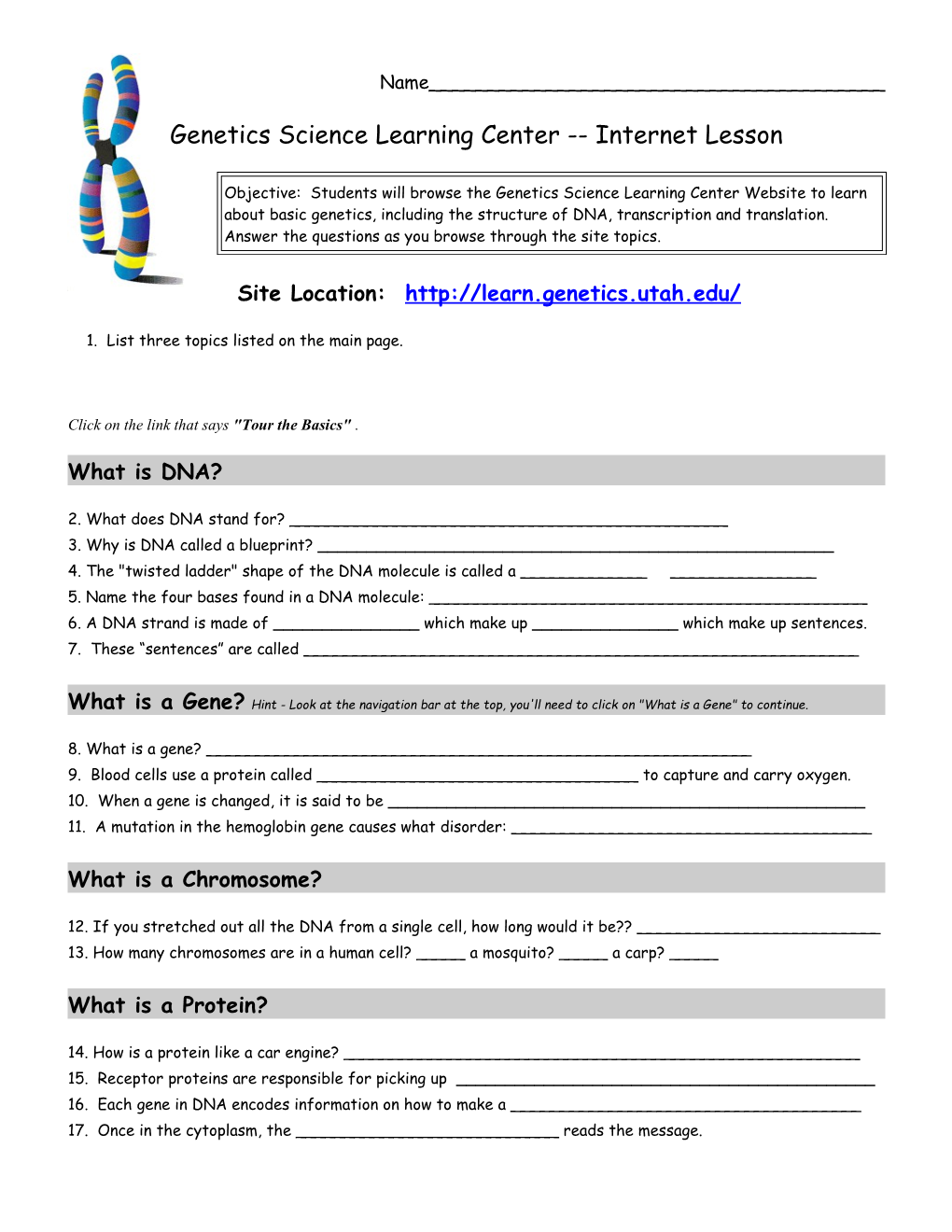 Basic Genetics Internet Lesson Plan