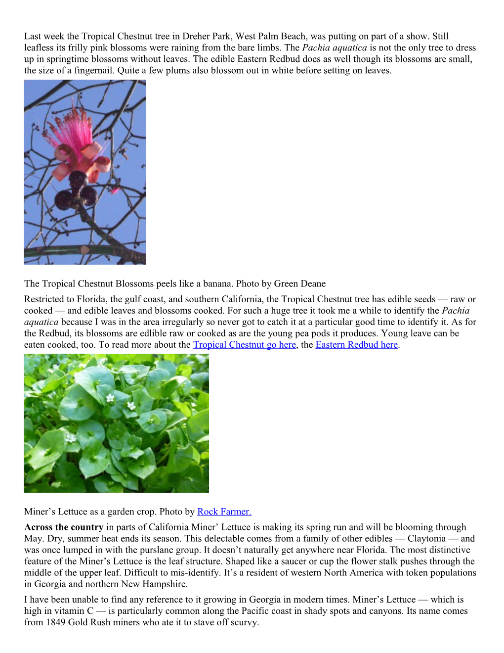 Eat the Weeds Newsletter 1 April 2014