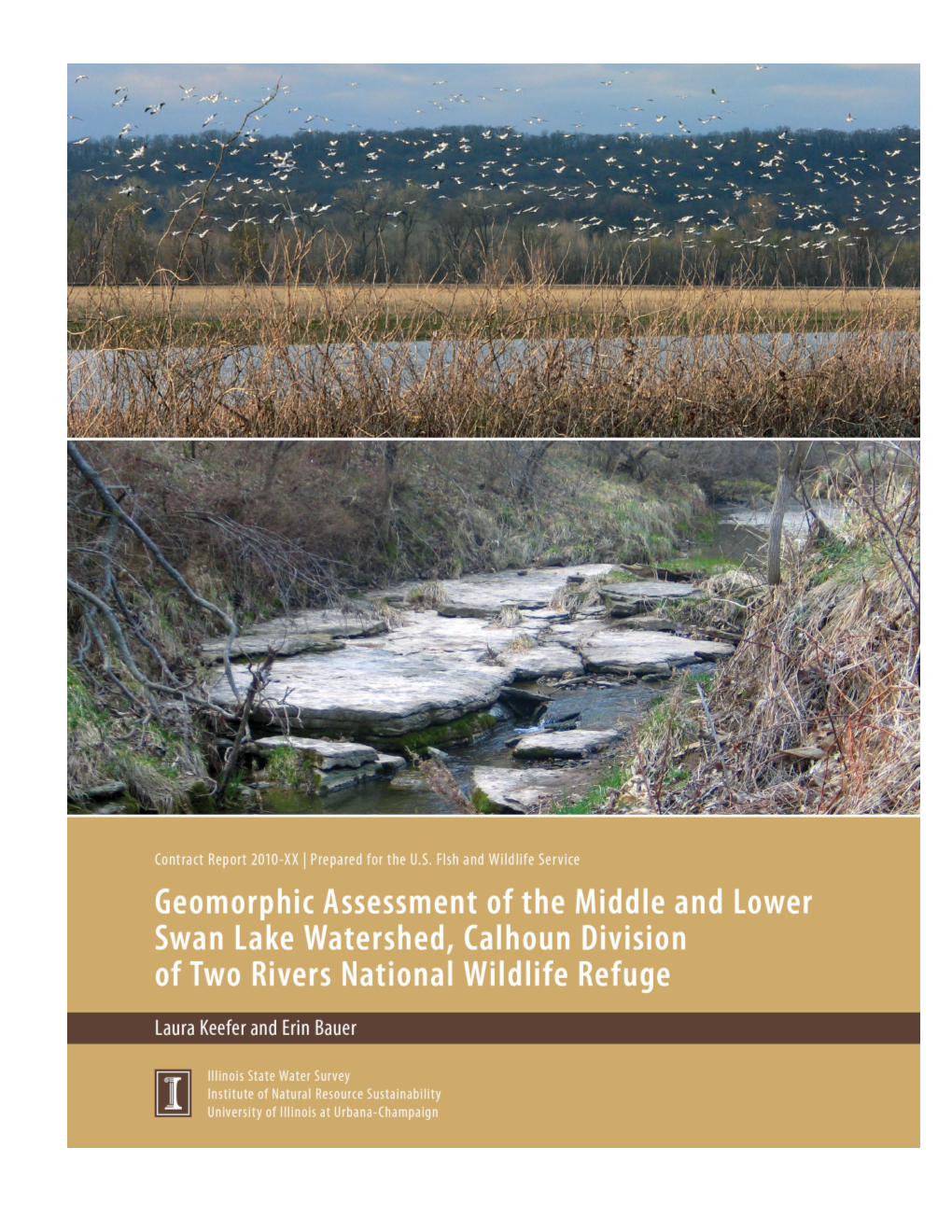 Geomorphic Assessment of the Middle and Lower Swan Lake Watershed, Calhoun Division Of