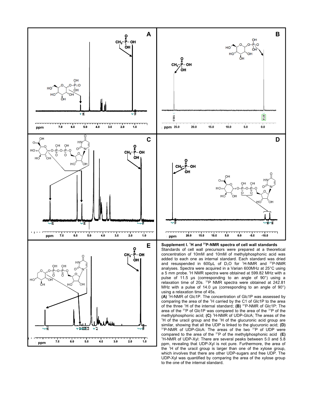 Supplement I. 1H and 31P-NMR Spectra of Cell Wall Standards