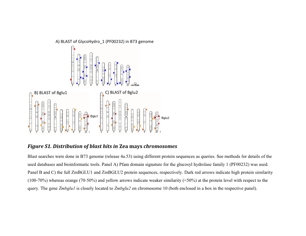 Figure S1. Distribution of Blast Hits in Zea Mays Chromosomes