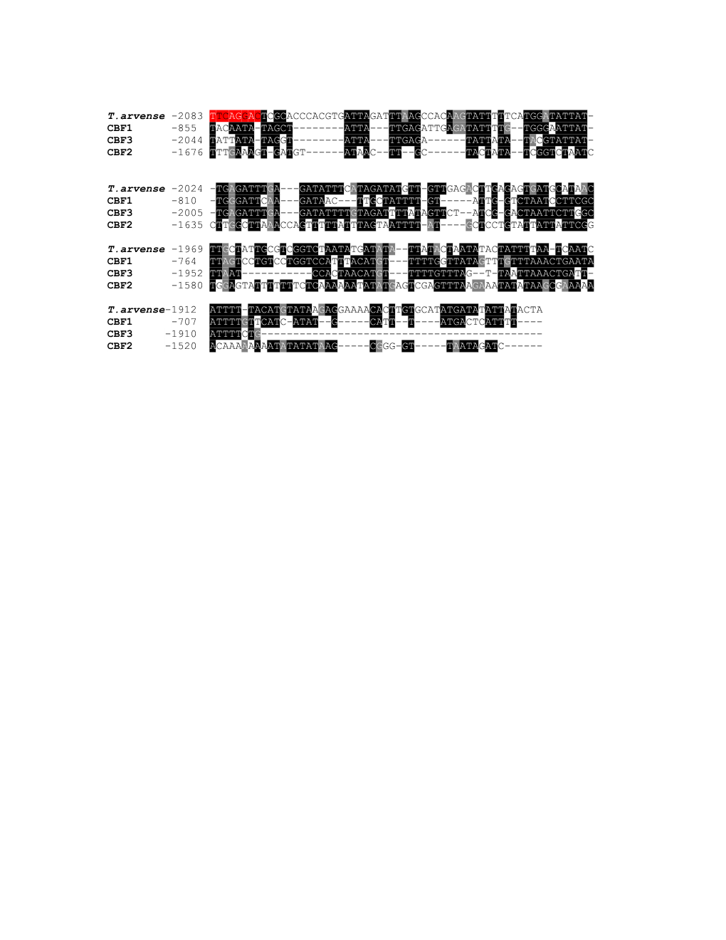 Figure 1. Comparison of Upstream Genomic Region of T. Arvense CBF with Arabidopsis CBF1