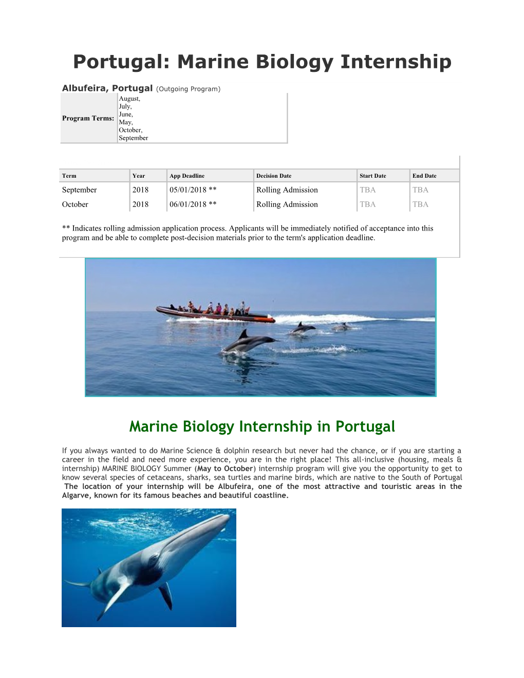 Portugal: Marine Biology Internship