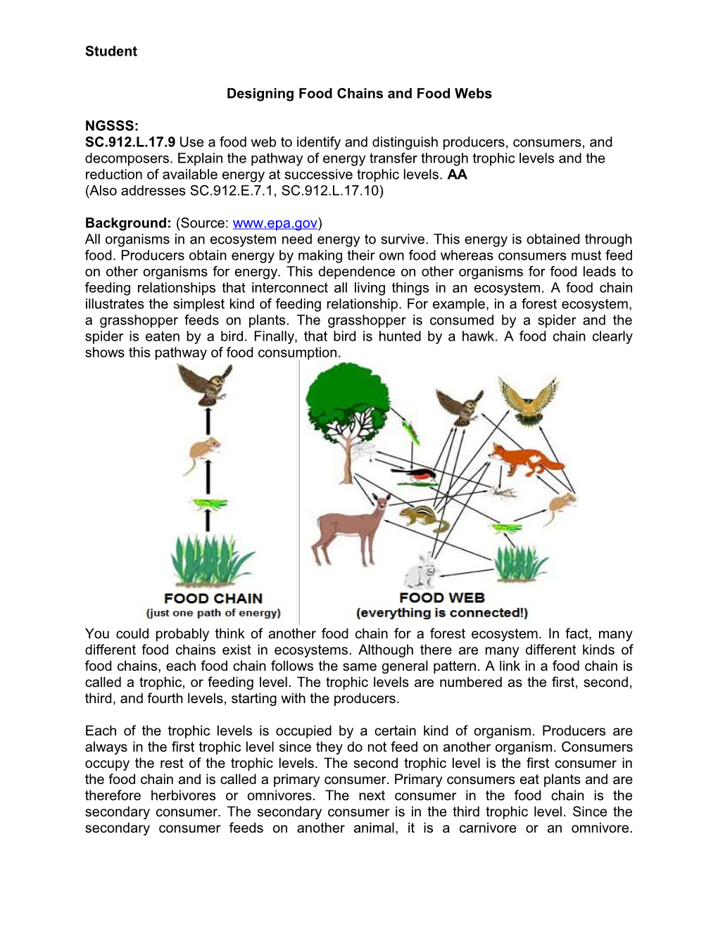 Designing Food Chains and Food Webs